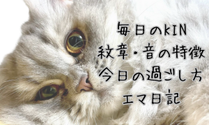 本日のKIN