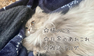 その他あれこれ